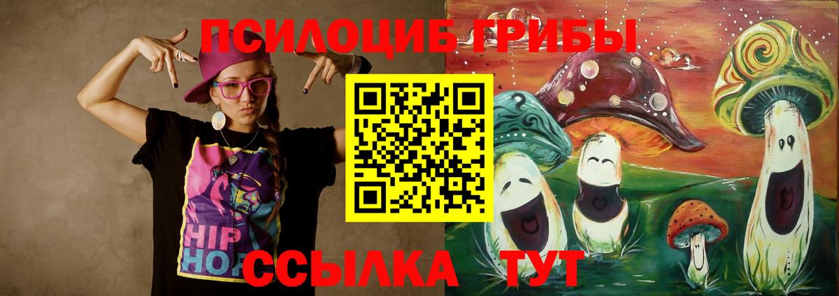 Галлюциногенные грибы MAGIC MUSHROOMS  Вход с VPN  Гулькевичи  Галлюциногенные грибы Psilocybe 